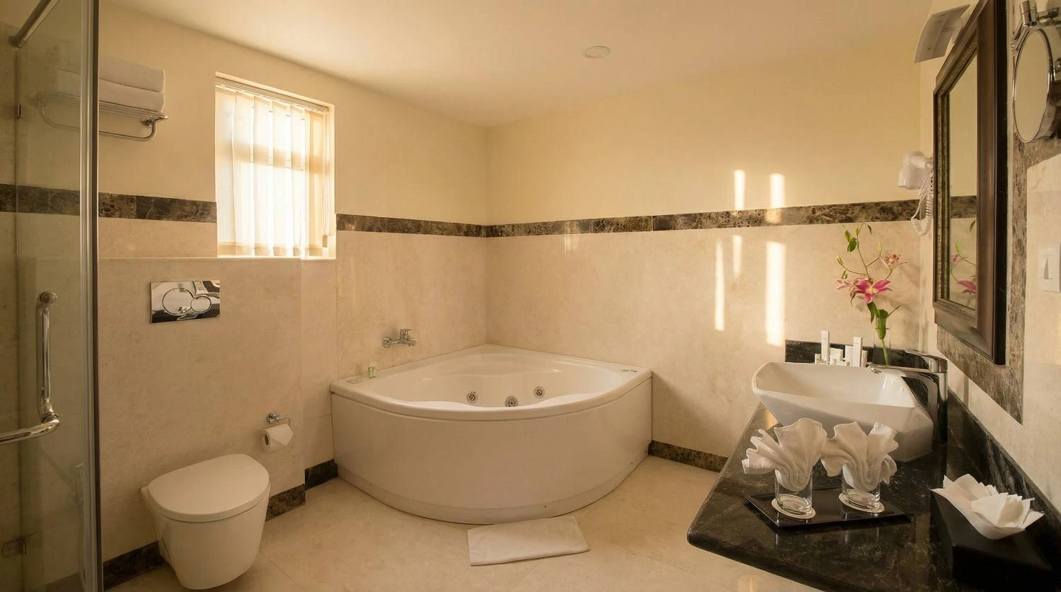 Presidential Suite at Aldovia Resort — photo 3